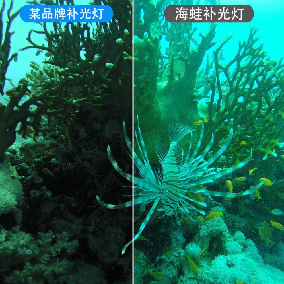 b23325fbff548d43.jpg