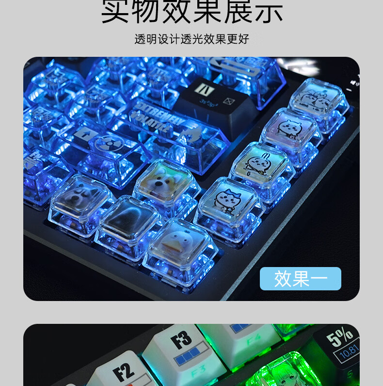 d5365809ff24d4d2.jpg' style=
