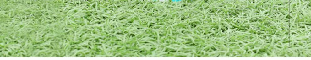 3d3020c830ad6a8d.jpg