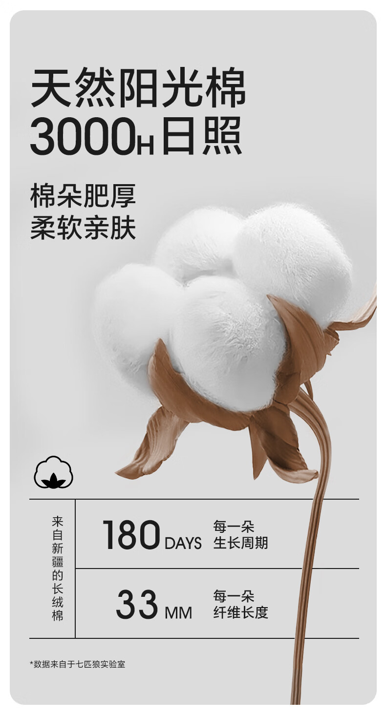 75f7811274a4ccb0.jpg