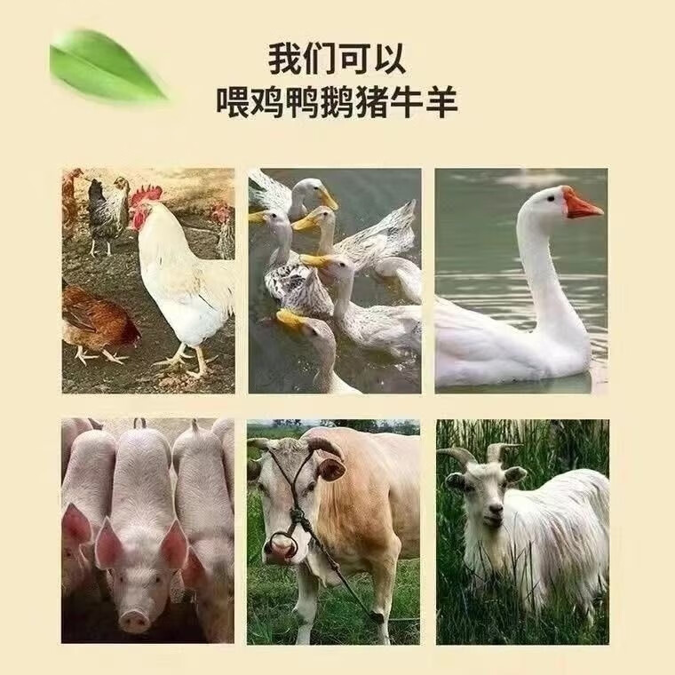 bdc3b0ae57a54e4b.jpg