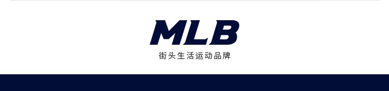 c718aba5d852b033.jpg