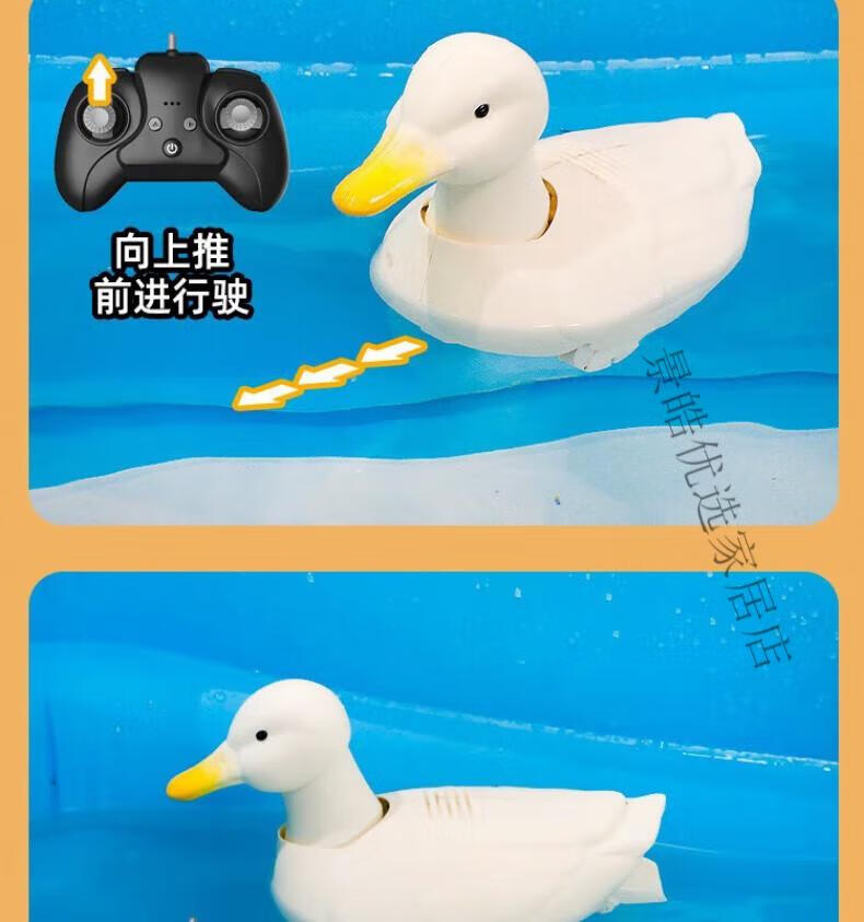 c8dc5c06a06151e8.jpg