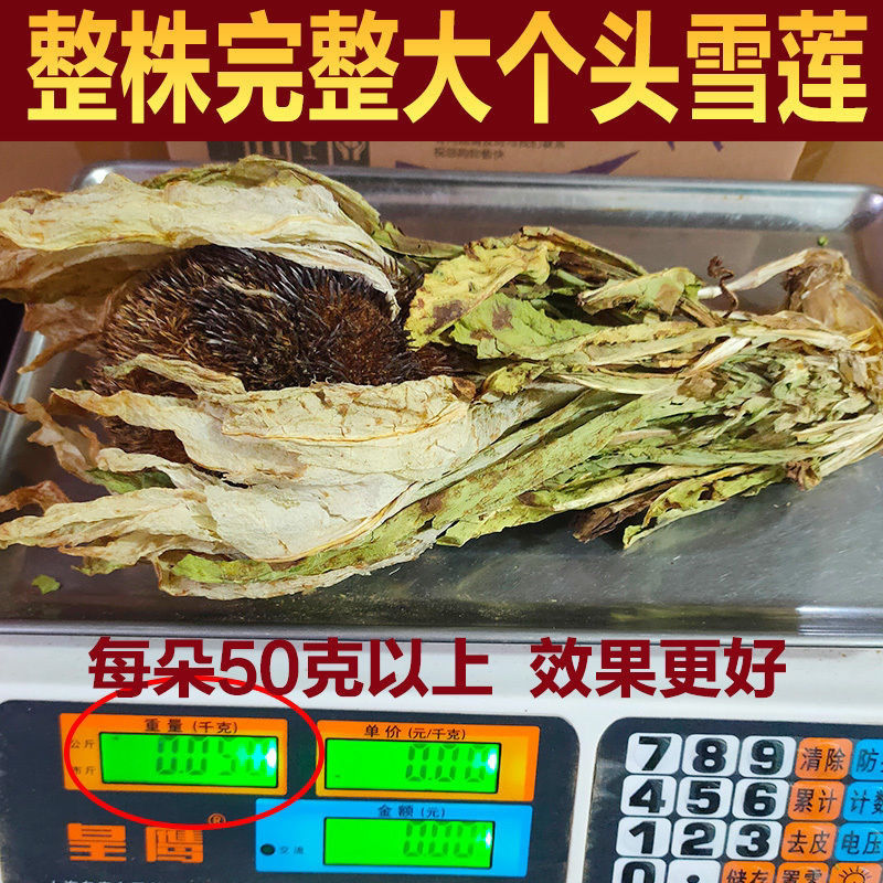 天山雪莲花新疆大雪莲王10年花龄中药材滋补 小朵雪莲2朵【图片 价格