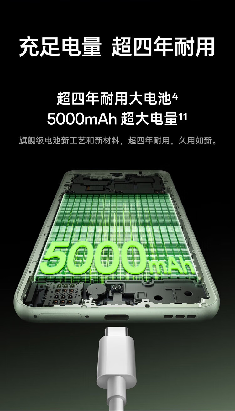 c841ee33667e5b85.jpg