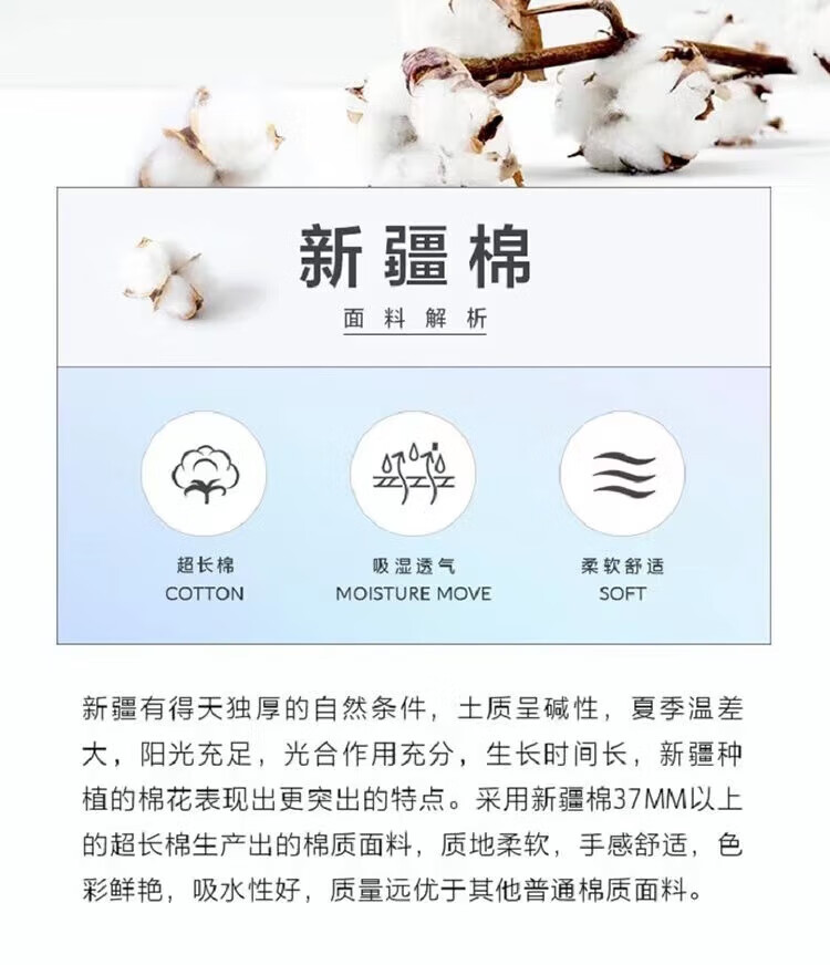 a9005e13122f7d47.jpg