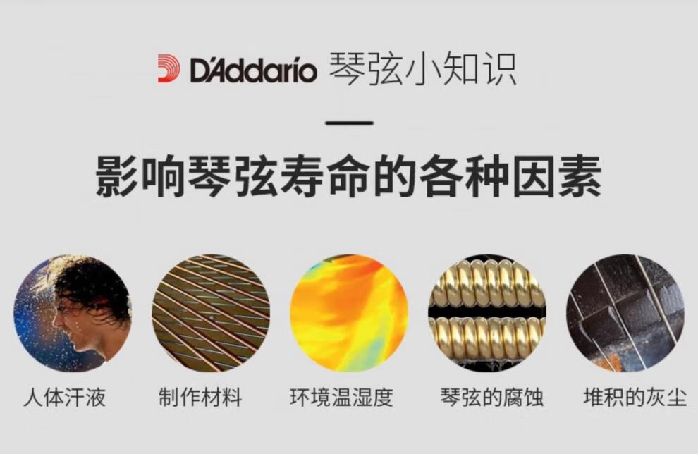1baae2126636f4ab.jpg