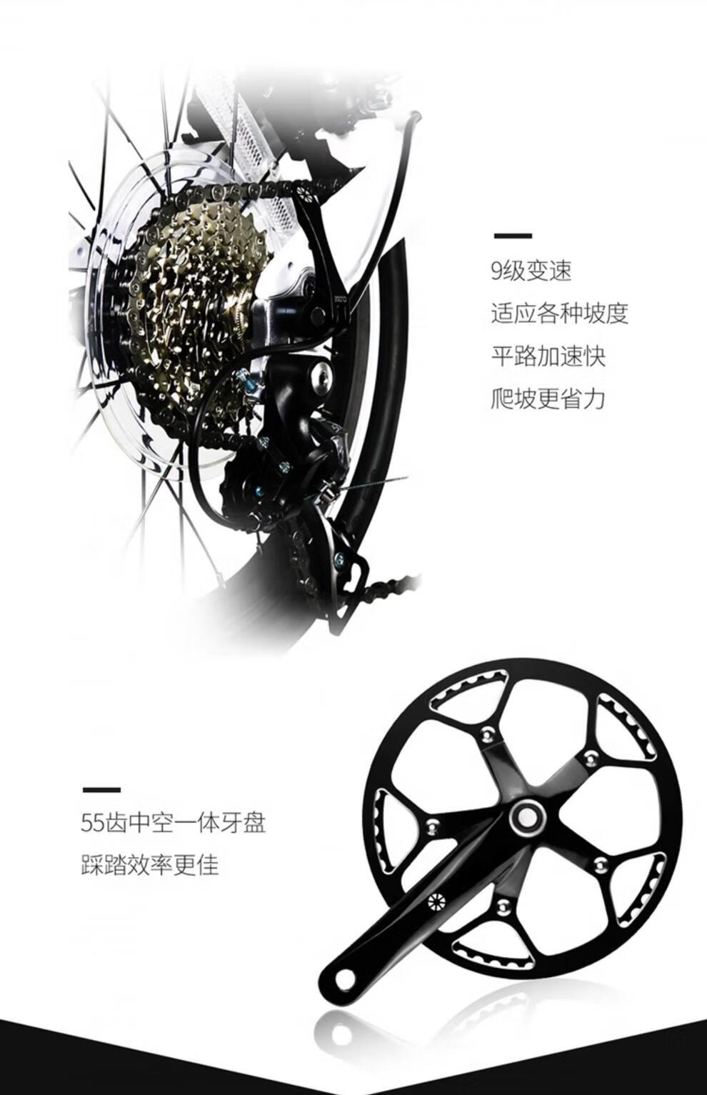 8b66031f3af84a33.jpg