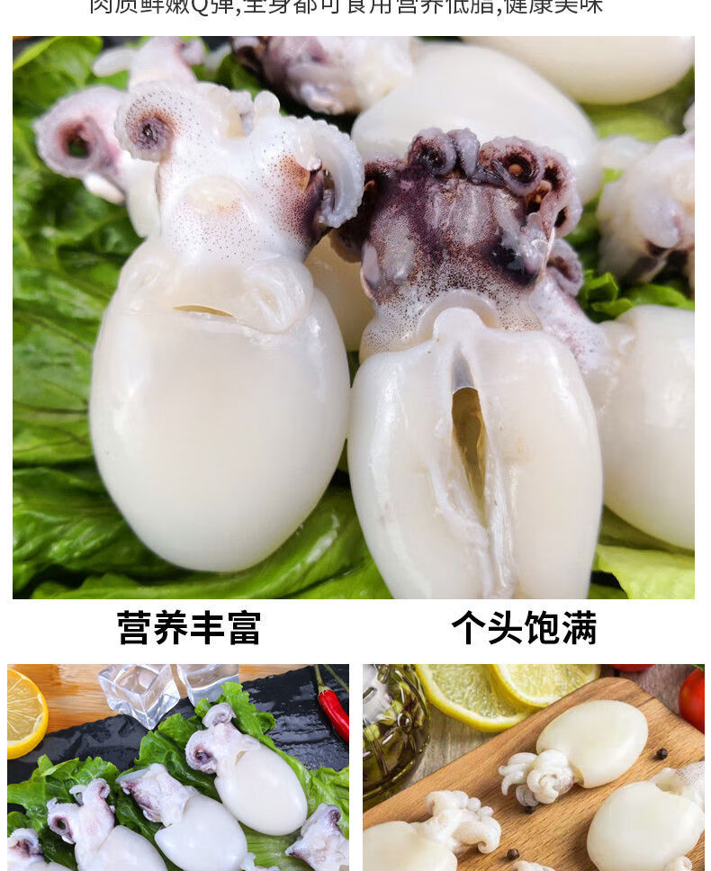 新鲜墨鱼仔八爪鱼小墨斗乌贼章鱼小目鱼鱿鱼花爆头鲜活速冻海鲜装6斤