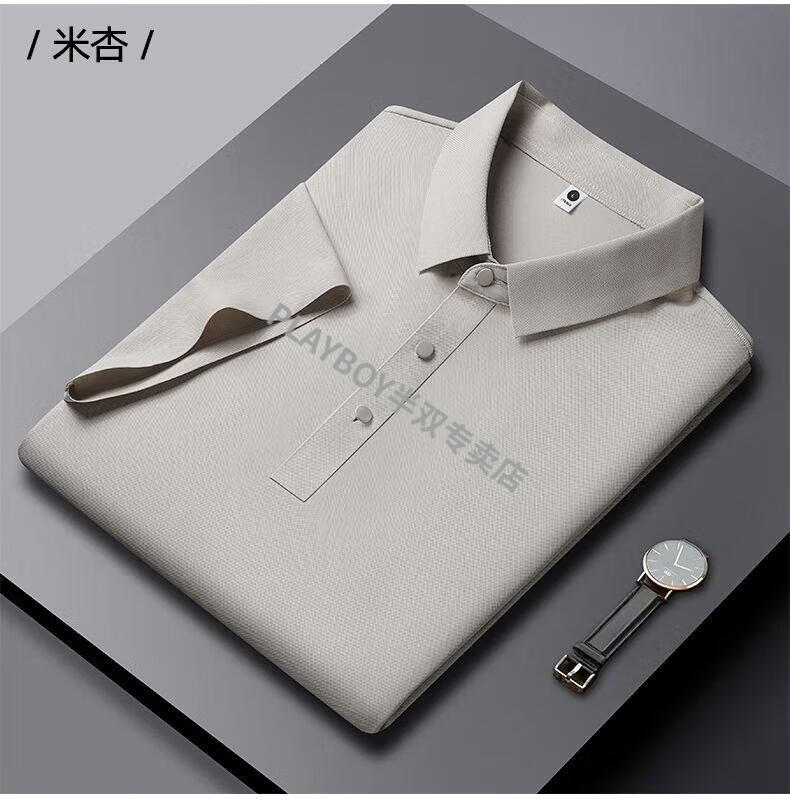6f21ce6b010131ae.jpg