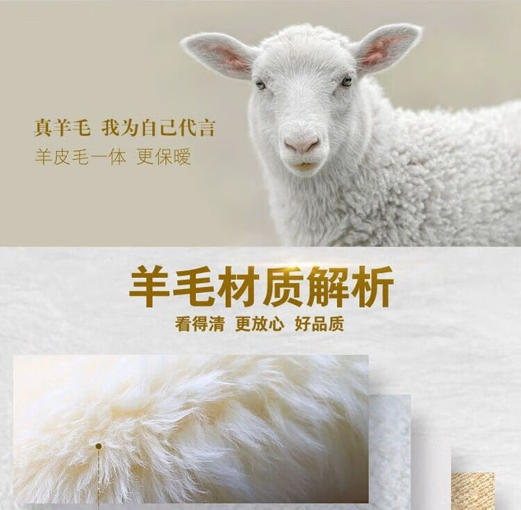 fa9069b88ca2a1cd.jpg