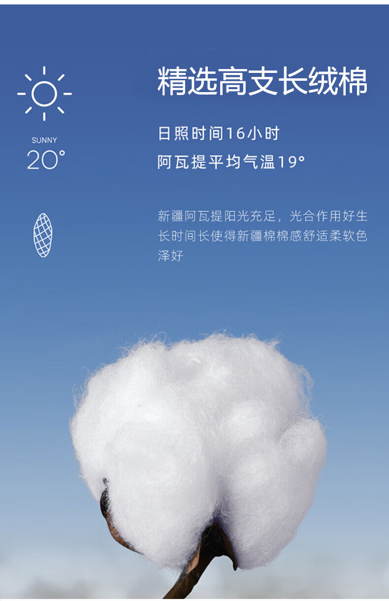 2e37a8357b23189d.jpg