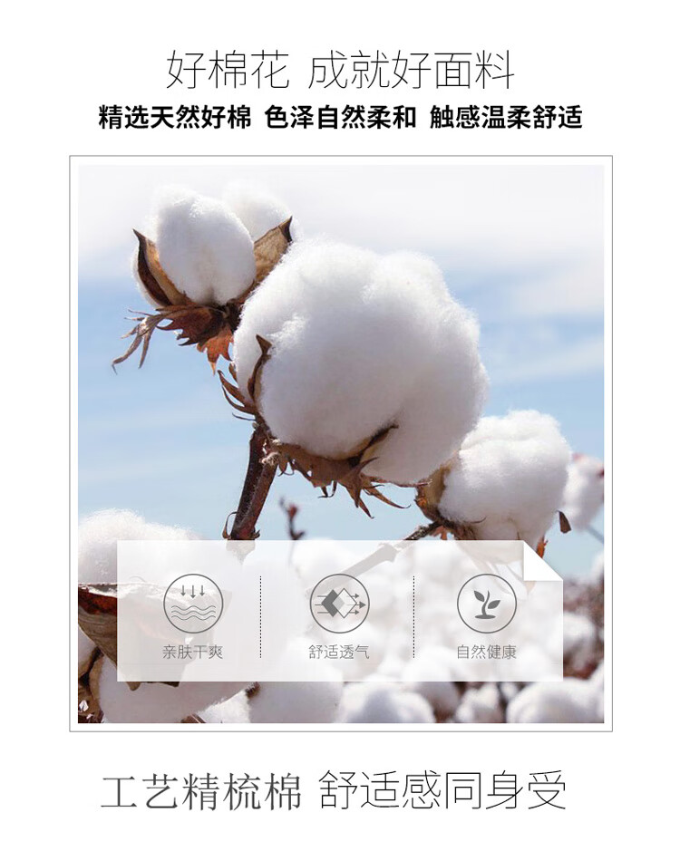 c885c027580ae638.jpg