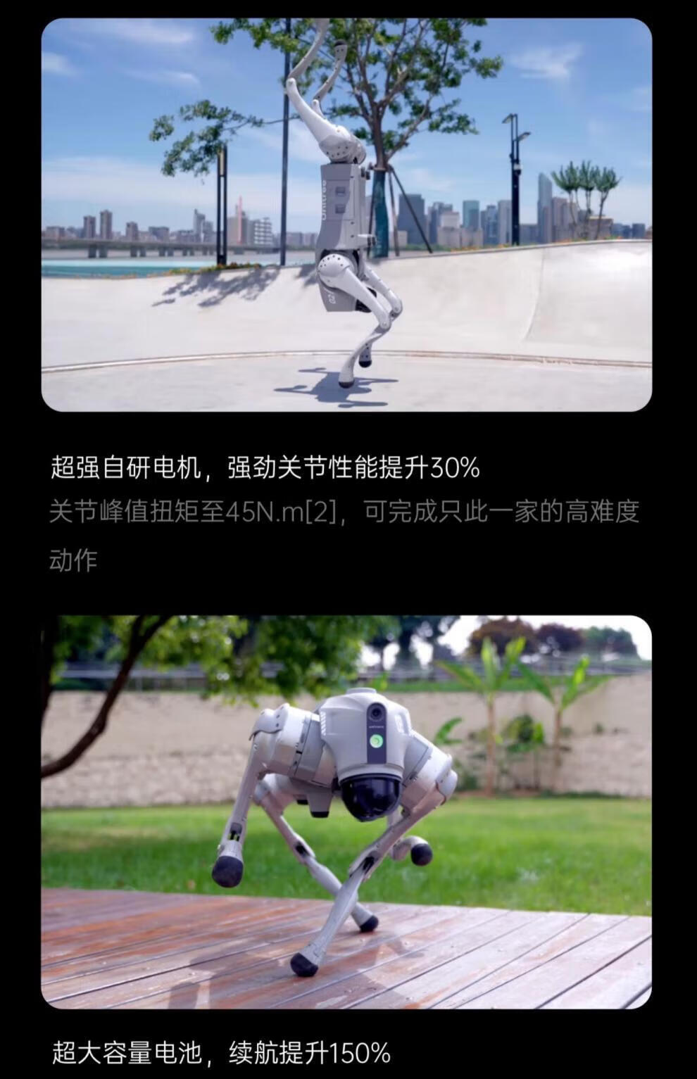 e21f46882e5f57a3.jpg