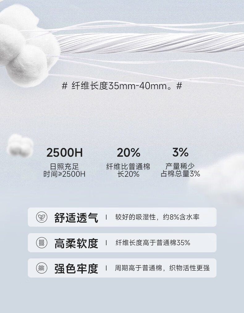 a8c290e768d334a6.jpg