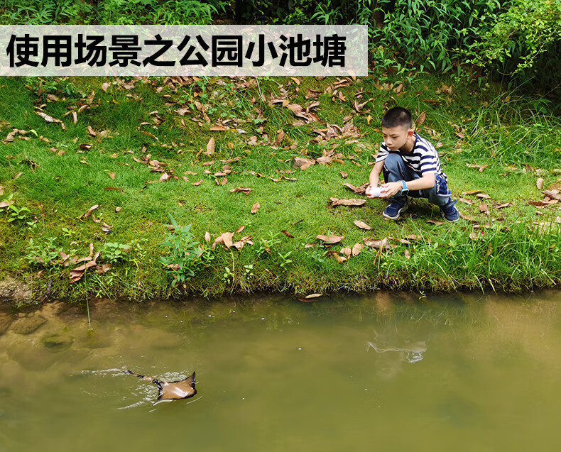 3c78f6050be66be9.jpg