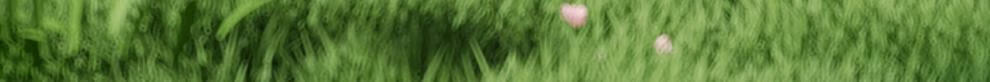 c34067f0a12eafd6.jpg