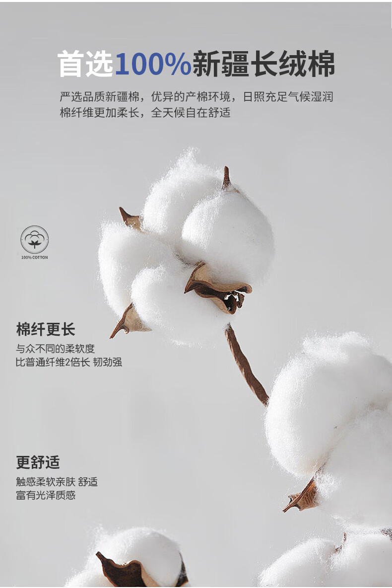 3f6ed33d61152463.jpg