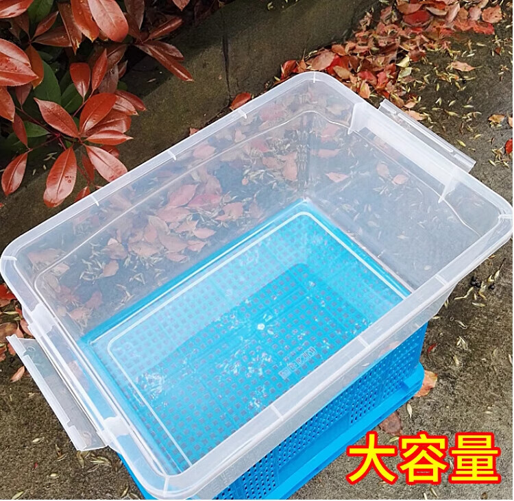 798bcc902bd901df.jpg