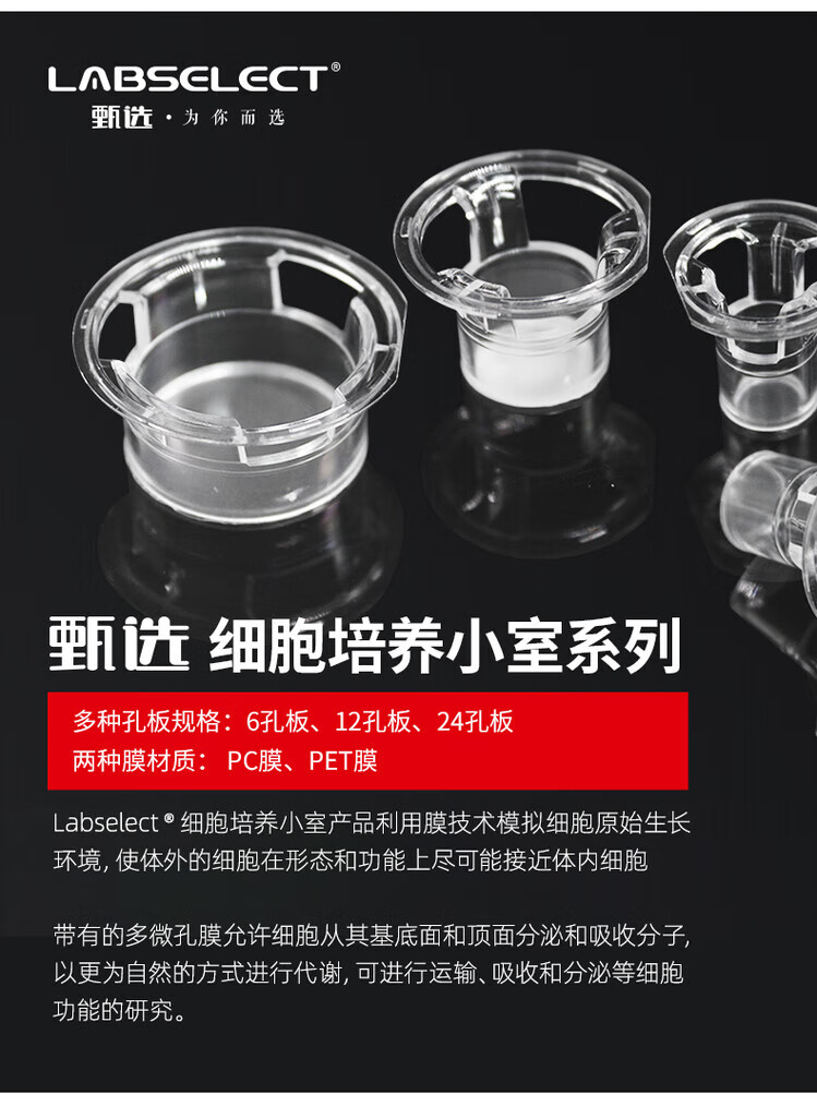 099a5880e7341d8b.jpg