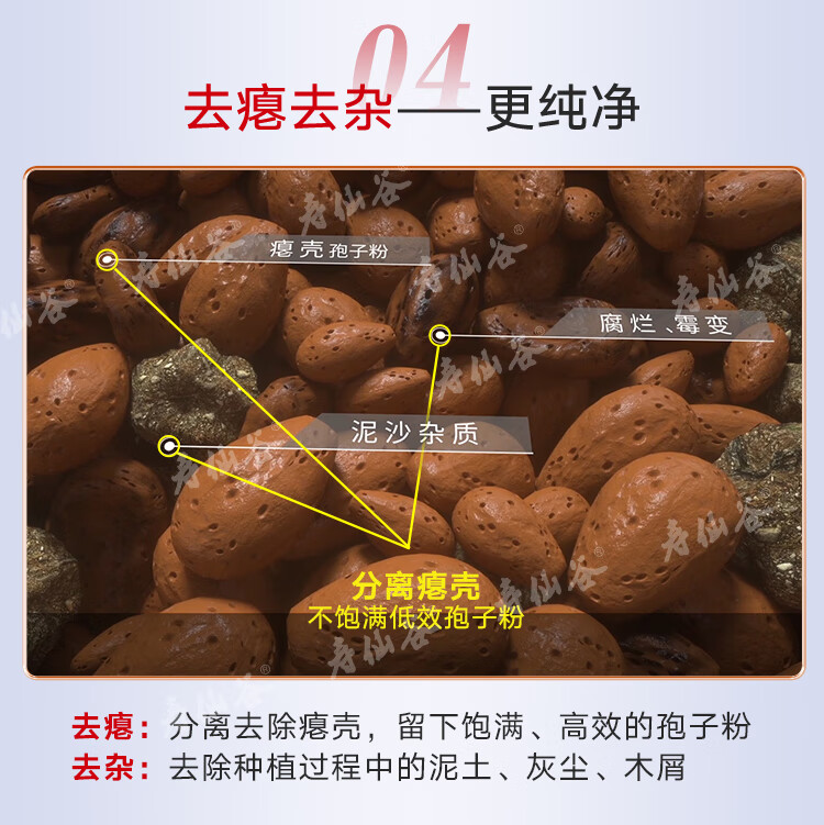 d11e97a1a6b39ee5.jpg