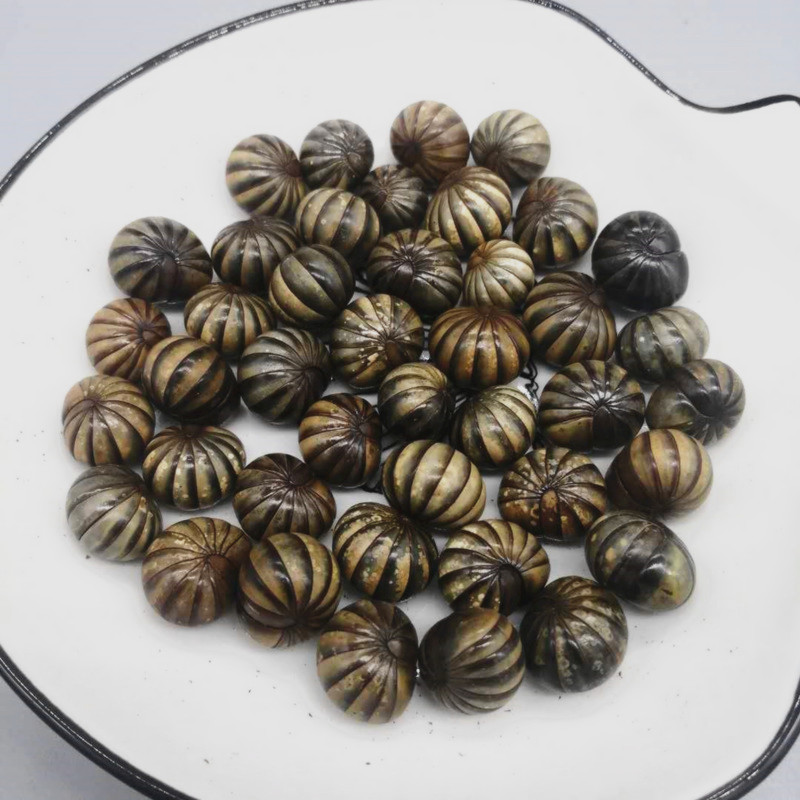 滚山珠虫滚山虫地罗汉中药材另五谷虫蚂蚱九香虫金边土元 100克地罗汉