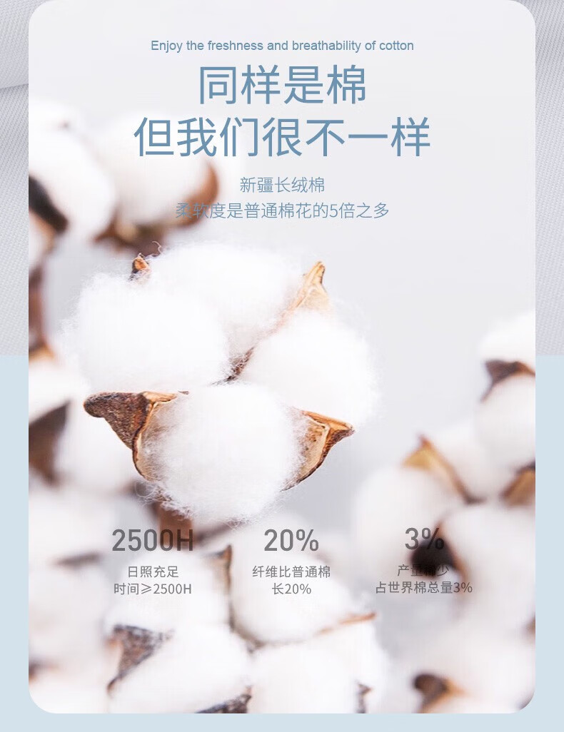 79696c6a7c4dcc32.jpg