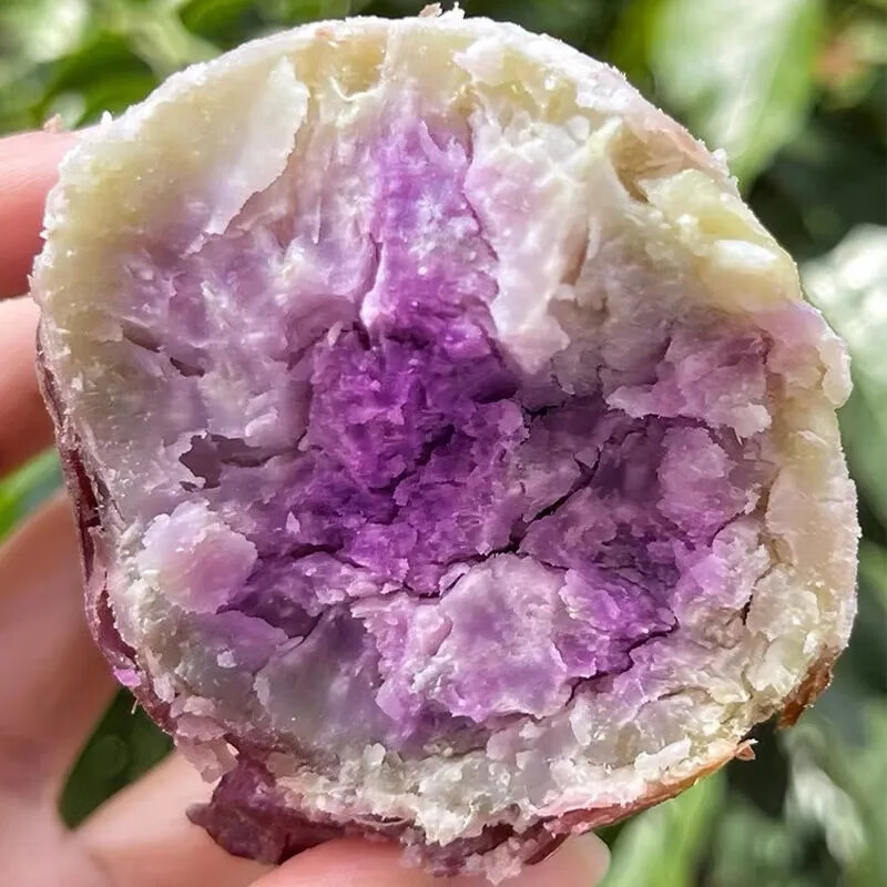 冰淇淋红薯新鲜超甜红白皮正宗糖心紫薯现挖现发 3斤 大果300-600g