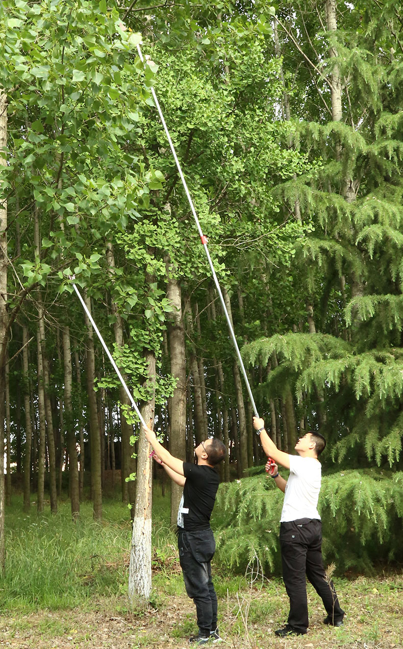 德國銀龍島園林樹枝果樹水果剪刀修枝剪伸縮高空剪枝高枝剪摘果器採果