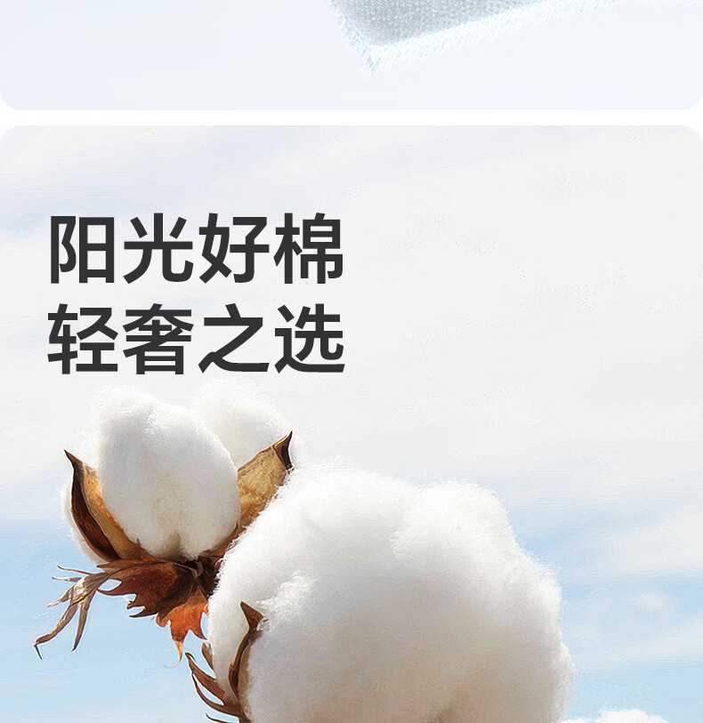 7995e03c82fe5386.jpg