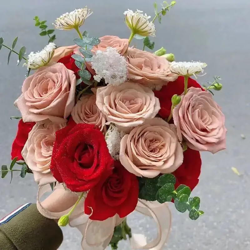 b69355aed2a4358e.jpg