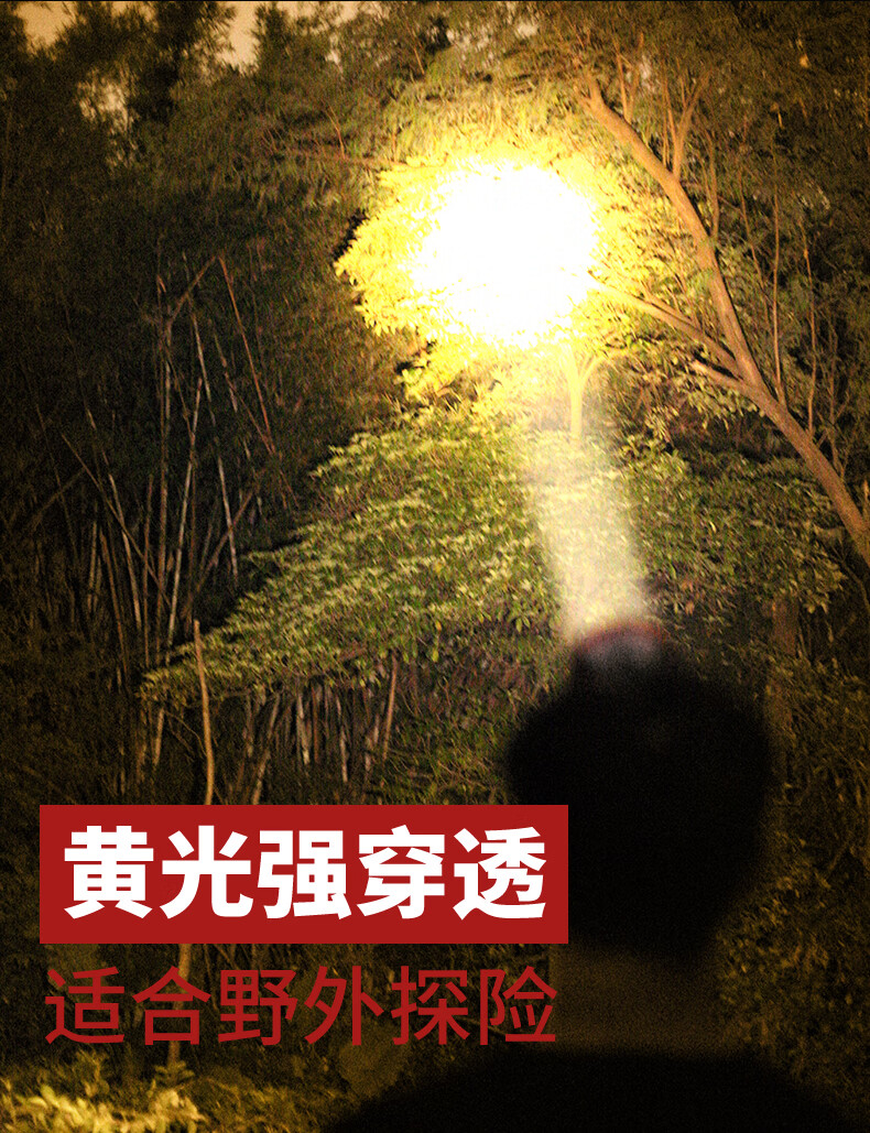 8bd0b008d8718d6c.jpg