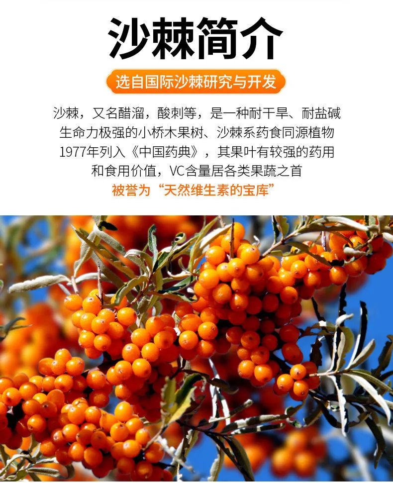 阿坝州小金县熊猫菓菓沙棘果汁饮料四姑娘山300ml*6瓶附 熊猫沙棘1箱