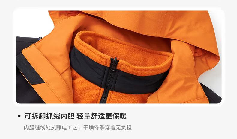 091cd2375714dbed.jpg