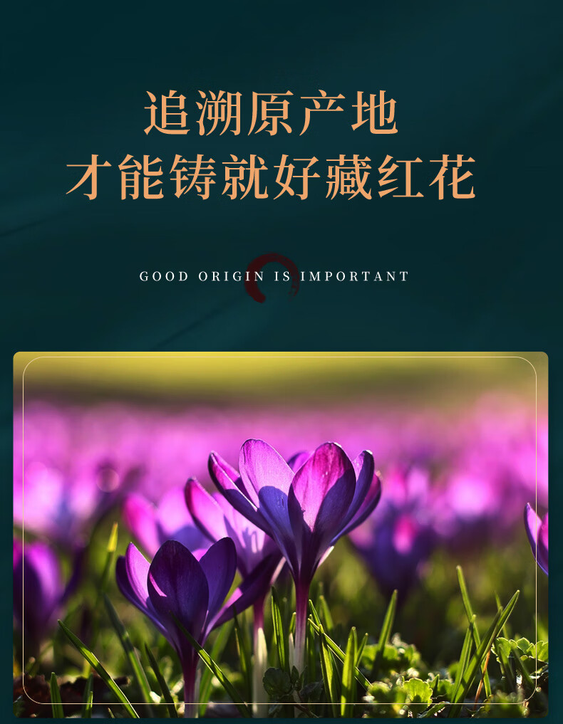 a908e93b0995df9b.jpg