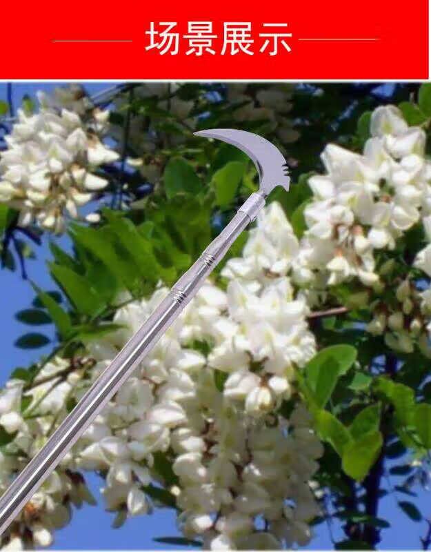摘香椿芽的工具摘椿芽神器勾香椿芽勾子摘春芽钩草杆子够槐花香椿掰