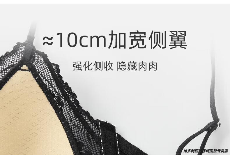 09bccf5927e29a0d.jpg' style=