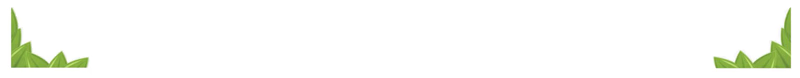 832b201342937049.png