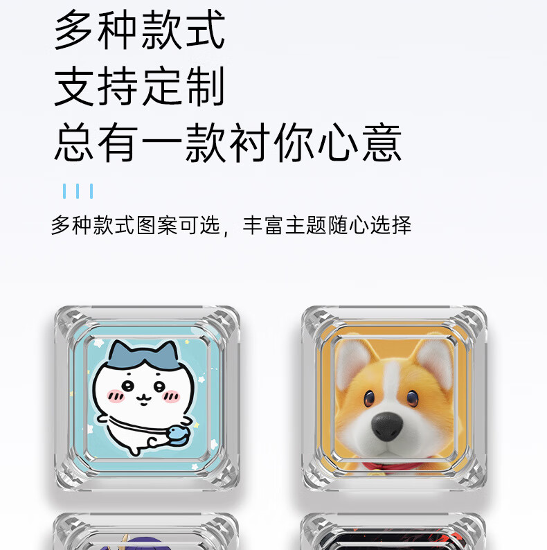 fcfb2c401908aa6e.jpg' style=