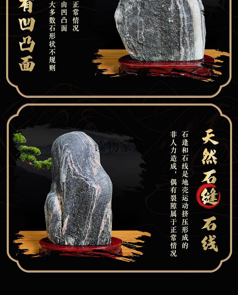 dd92460412e4cc3e.jpg