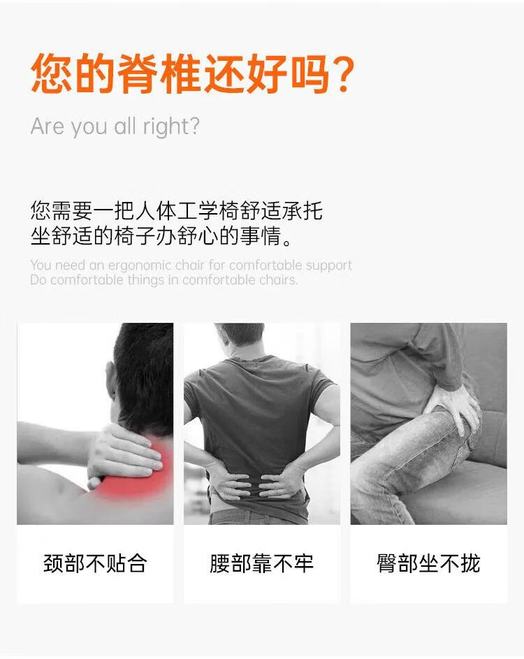 67cbd1307ad34397.jpg