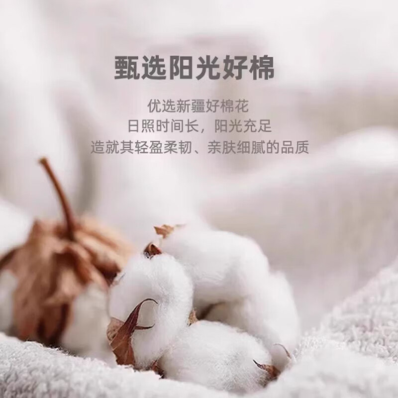 ca4edf5c88daea91.jpg