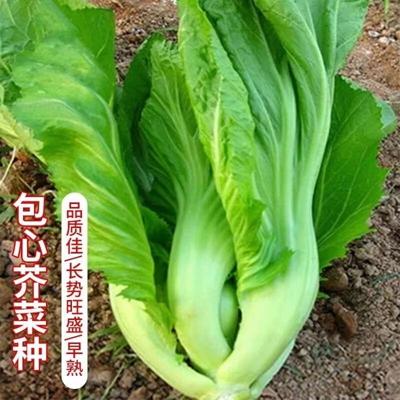 ead08e07bfae2e77.jpg