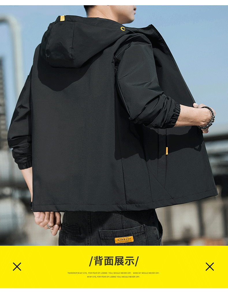 678e8401a69848b3.png