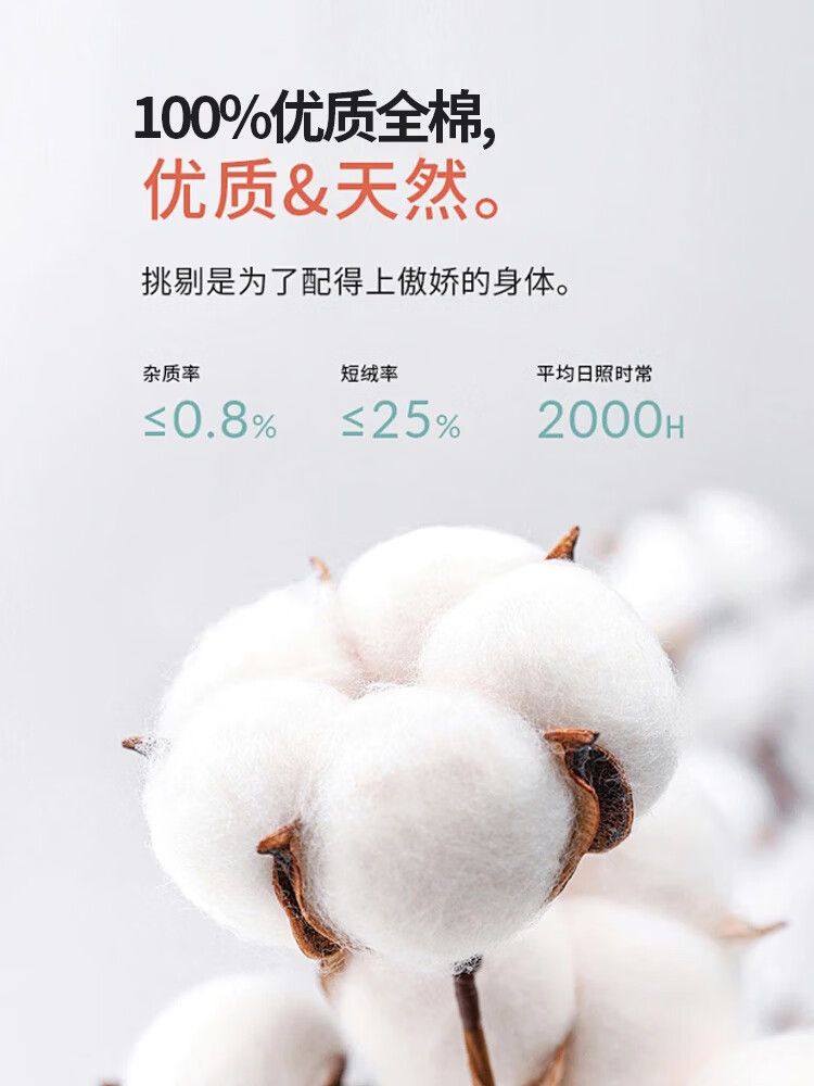 840b7a2f683be190.jpg