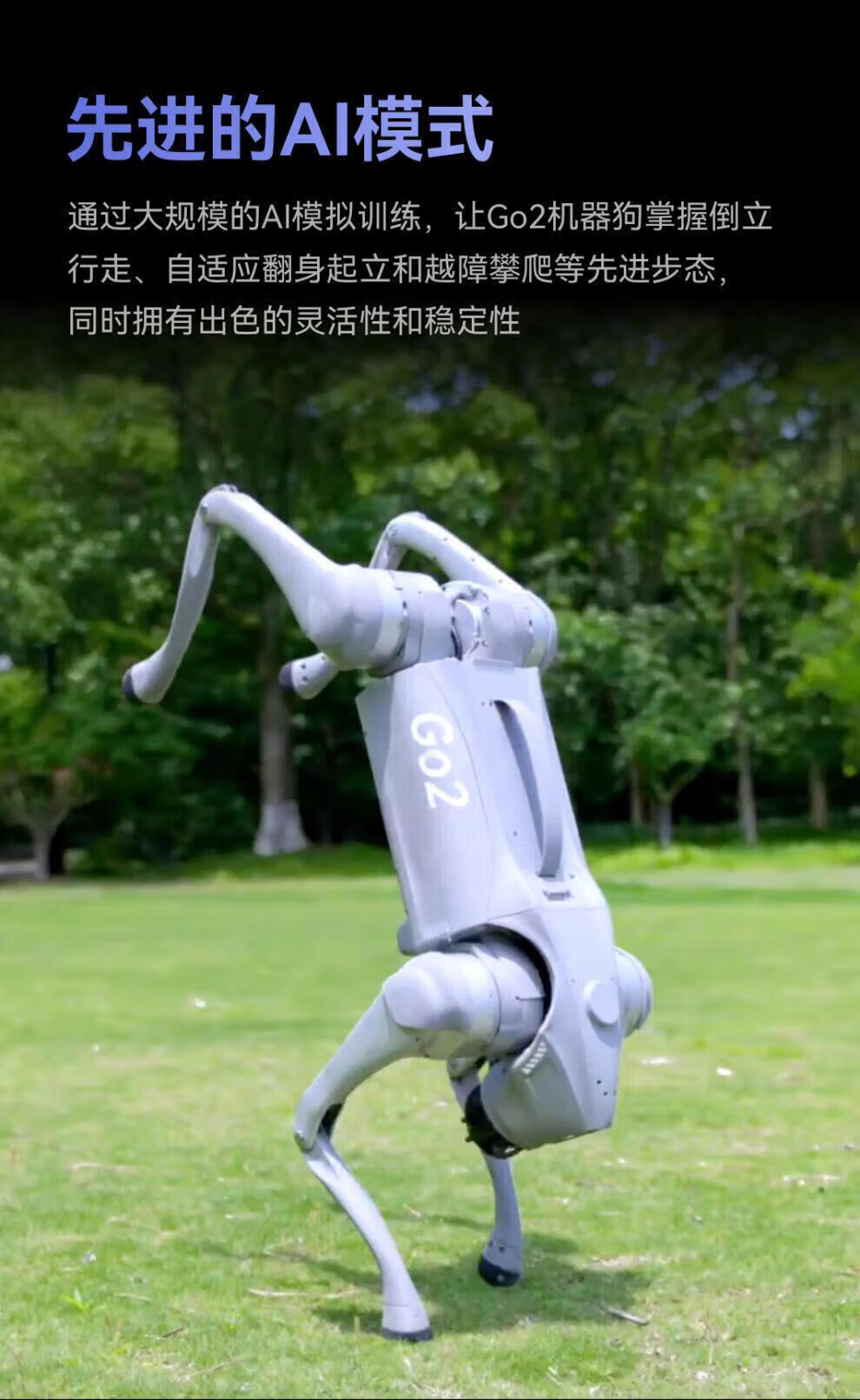 ad546512090d9410.jpg