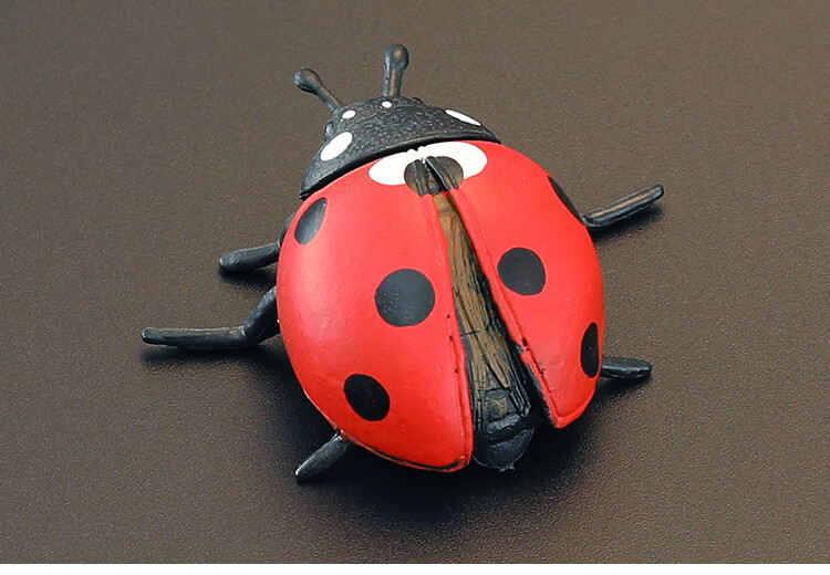 实心儿童仿真昆虫模型套装玩具七星瓢虫金龟子花大姐认知礼品摆件