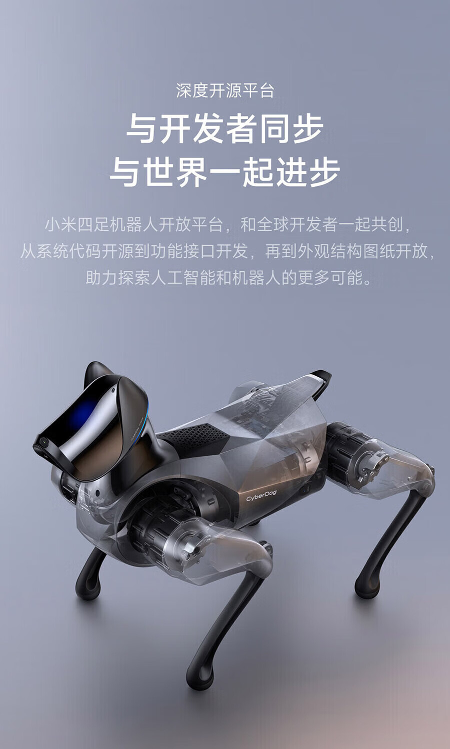 7bc42c5081ef6340.jpg