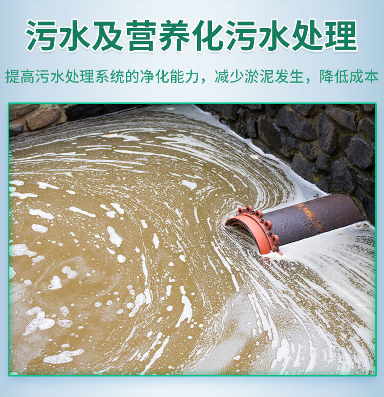 c1b4addb017f65d6.jpg
