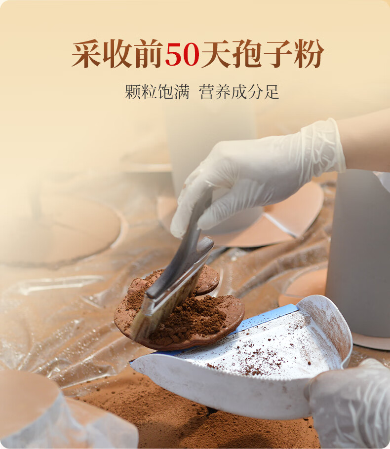560f1964bc9a7565.jpg